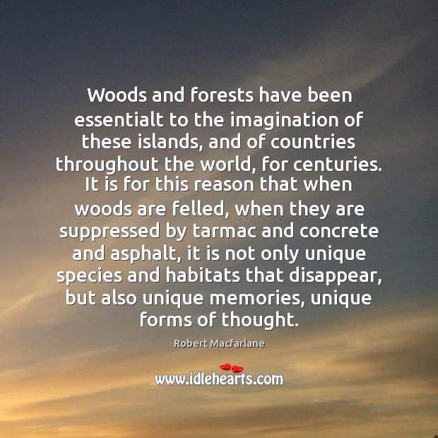 Woods and forests have been essentialt to the imagination of these islands, Robert Macfarlane Picture Quote