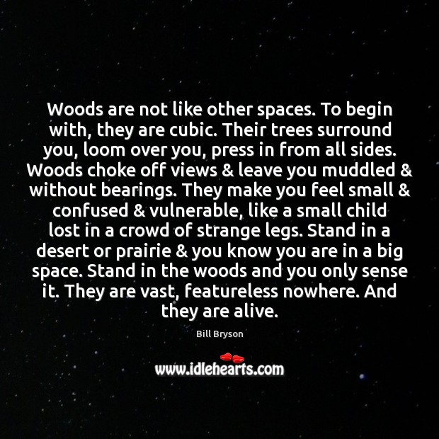 Woods are not like other spaces. To begin with, they are cubic. Bill Bryson Picture Quote