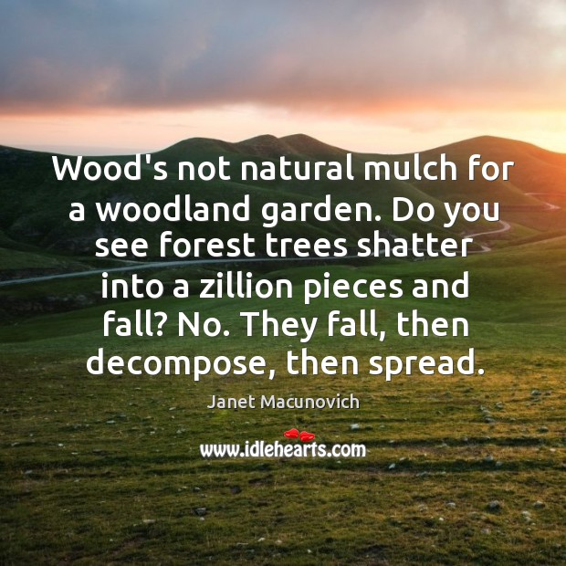 Wood’s not natural mulch for a woodland garden. Do you see forest Image