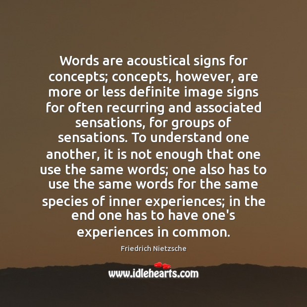 Words are acoustical signs for concepts; concepts, however, are more or less Friedrich Nietzsche Picture Quote
