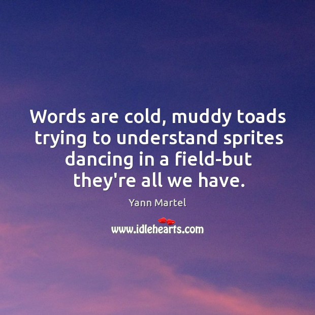 Words are cold, muddy toads trying to understand sprites dancing in a Yann Martel Picture Quote