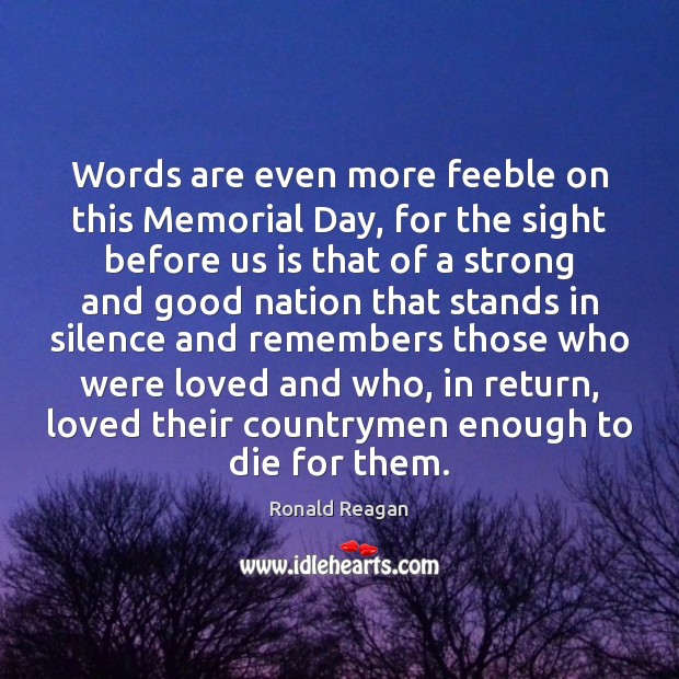 Words are even more feeble on this Memorial Day, for the sight Memorial Day Quotes Image