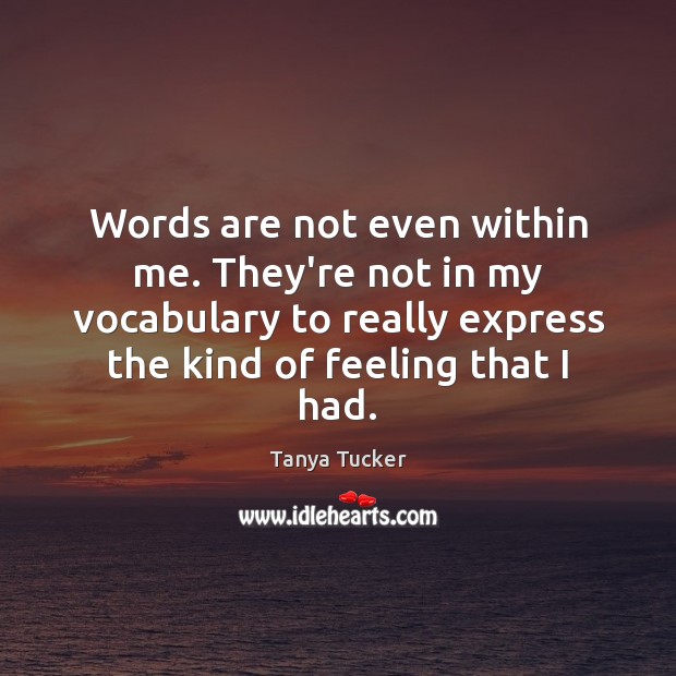 Words are not even within me. They’re not in my vocabulary to Tanya Tucker Picture Quote