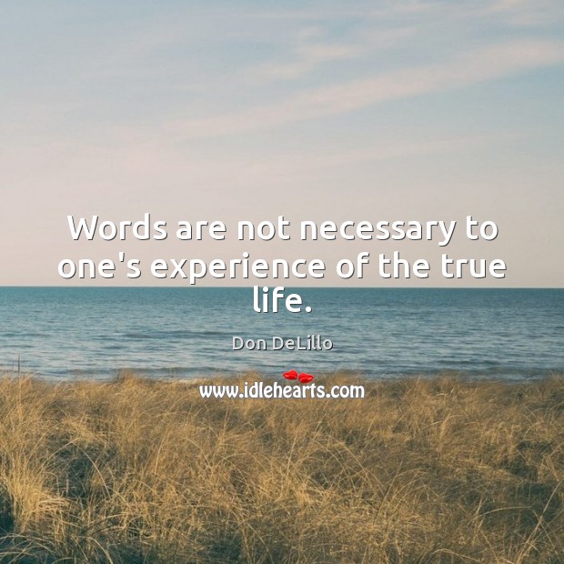 Words are not necessary to one’s experience of the true life. Image