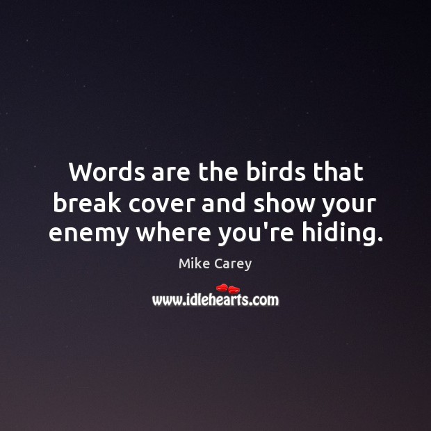 Words are the birds that break cover and show your enemy where you’re hiding. Mike Carey Picture Quote