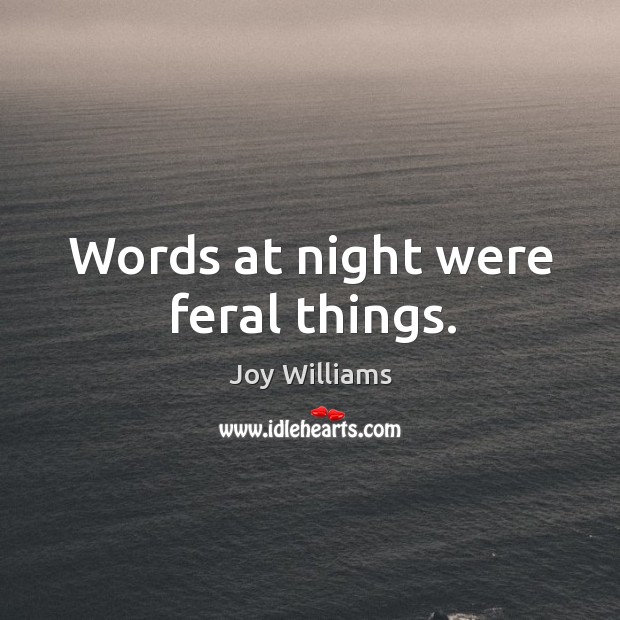Words at night were feral things. Joy Williams Picture Quote