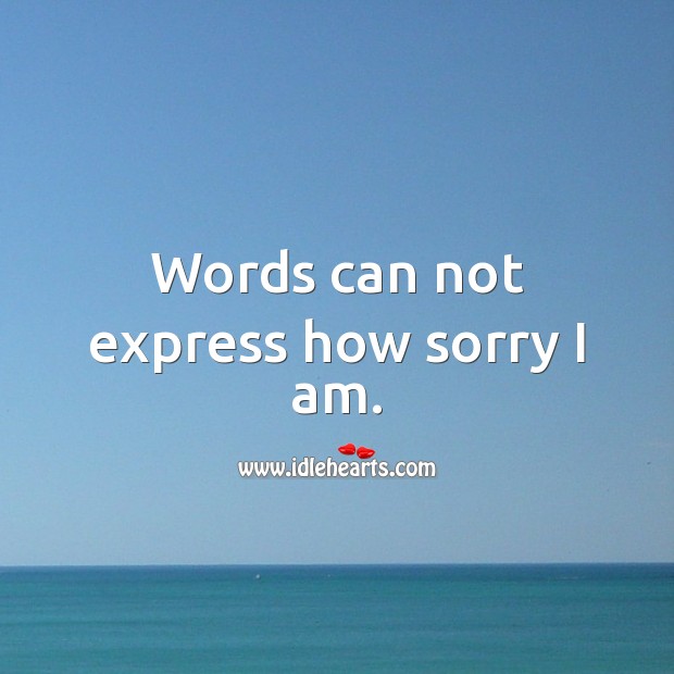 Words can not express how sorry I am. I’m Sorry Messages Image