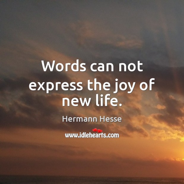 Words can not express the joy of new life. Hermann Hesse Picture Quote