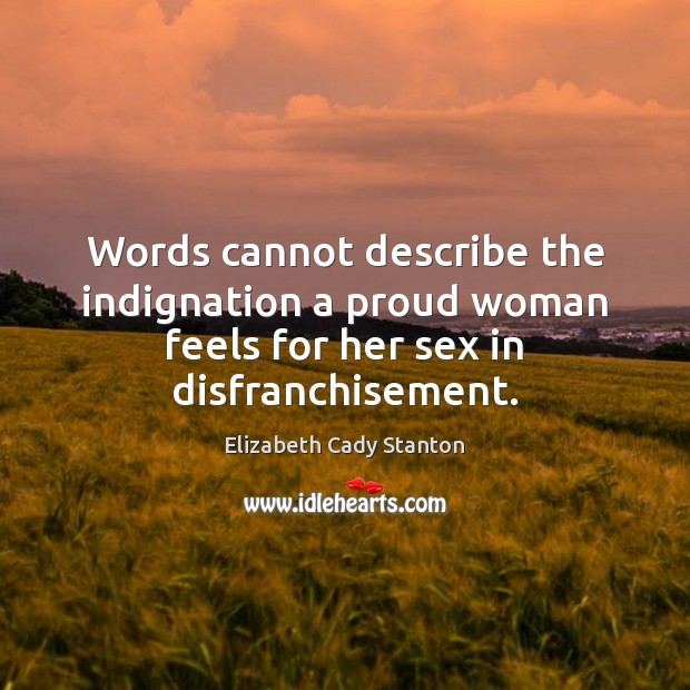 Words cannot describe the indignation a proud woman feels for her sex in disfranchisement. Image