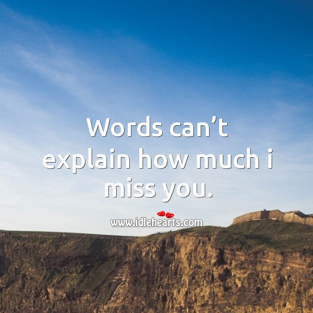 Words can’t explain how much I miss you. Miss You Quotes Image