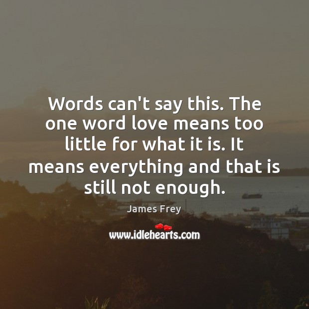 Words can’t say this. The one word love means too little for James Frey Picture Quote