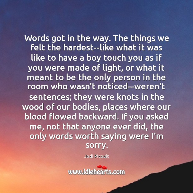 Words got in the way. The things we felt the hardest–like what Jodi Picoult Picture Quote