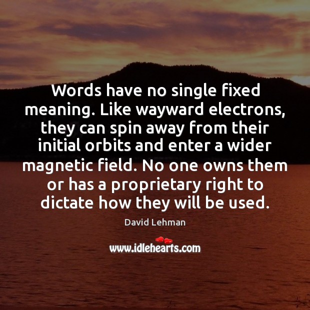 Words have no single fixed meaning. Like wayward electrons, they can spin David Lehman Picture Quote
