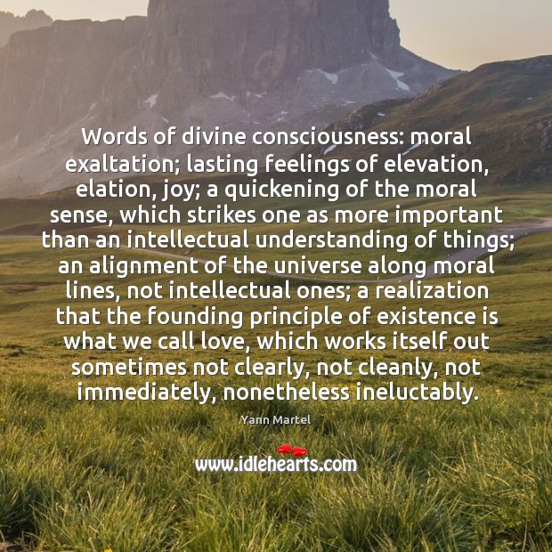 Words of divine consciousness: moral exaltation; lasting feelings of elevation, elation, joy; Yann Martel Picture Quote