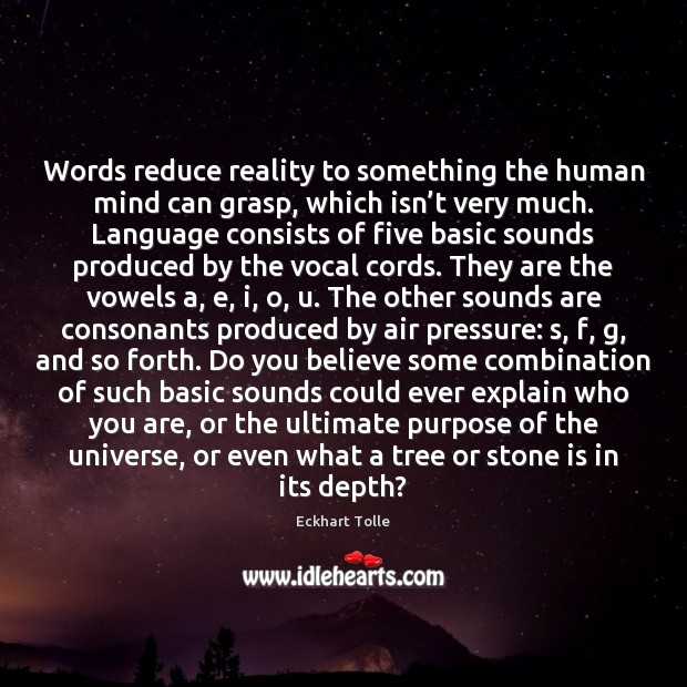 Words reduce reality to something the human mind can grasp, which isn’ Eckhart Tolle Picture Quote