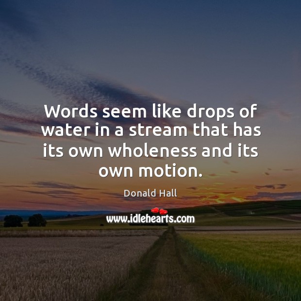 Words seem like drops of water in a stream that has its own wholeness and its own motion. Donald Hall Picture Quote