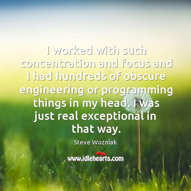 Worked with such concentration and focus and I had hundreds Steve Wozniak Picture Quote