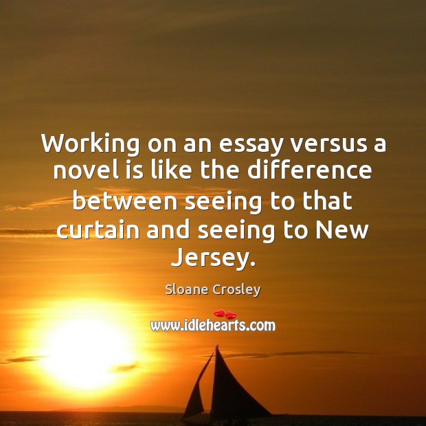 Working on an essay versus a novel is like the difference between Image