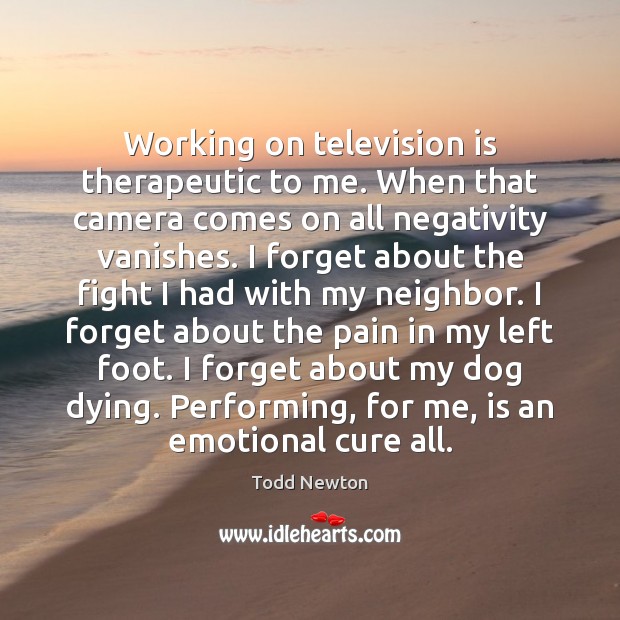Working on television is therapeutic to me. When that camera comes on Television Quotes Image