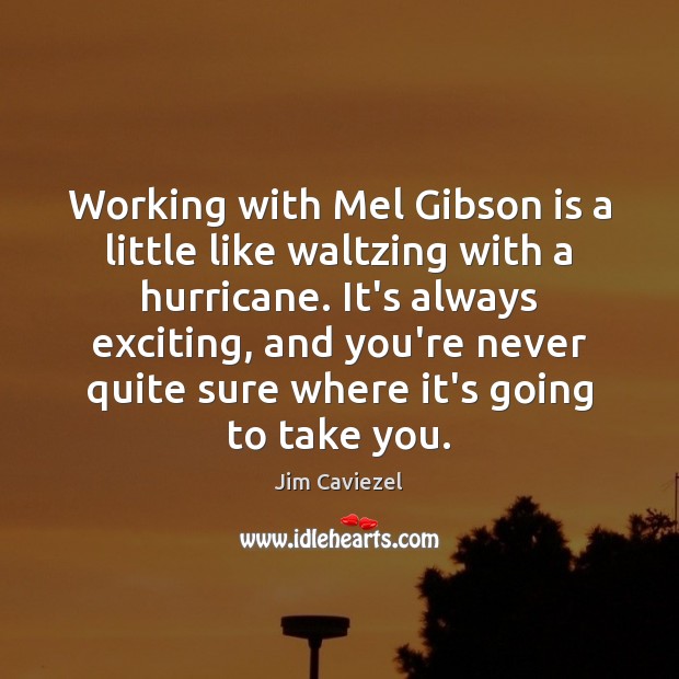 Working with Mel Gibson is a little like waltzing with a hurricane. Jim Caviezel Picture Quote