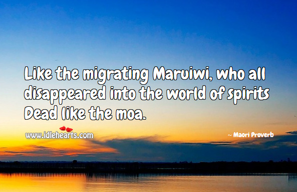 Like the migrating maruiwi, who all disappeared into the world of spirits dead like the moa. Maori Proverbs Image