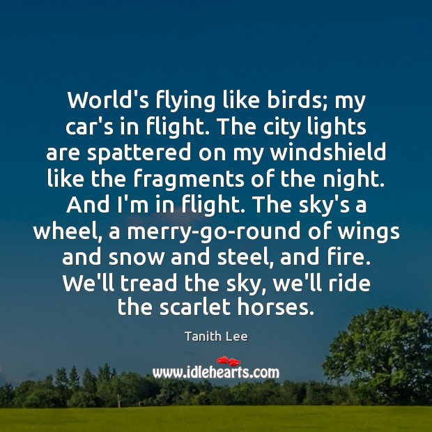 World’s flying like birds; my car’s in flight. The city lights are 