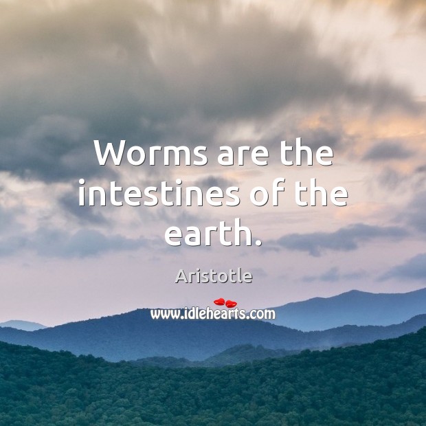 Worms are the intestines of the earth. Aristotle Picture Quote