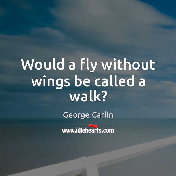 Would a fly without wings be called a walk? George Carlin Picture Quote