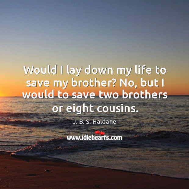 Would I lay down my life to save my brother? no, but I would to save two brothers or eight cousins. J. B. S. Haldane Picture Quote