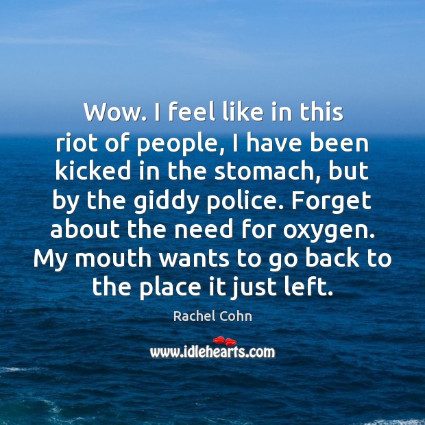 Wow. I feel like in this riot of people, I have been Rachel Cohn Picture Quote