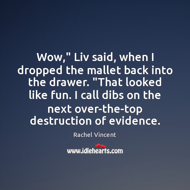 Wow,” Liv said, when I dropped the mallet back into the drawer. “ Image