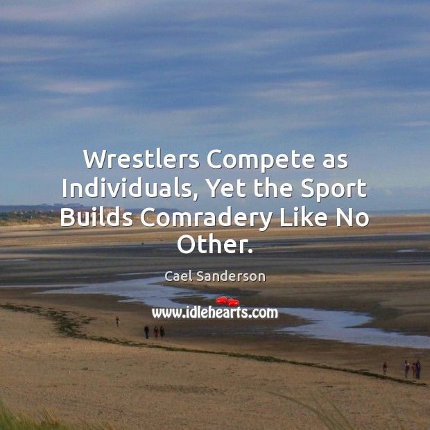 Wrestlers Compete as Individuals, Yet the Sport Builds Comradery Like No Other. Cael Sanderson Picture Quote