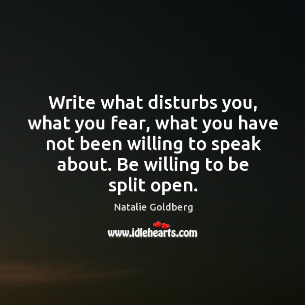 Write what disturbs you, what you fear, what you have not been Natalie Goldberg Picture Quote