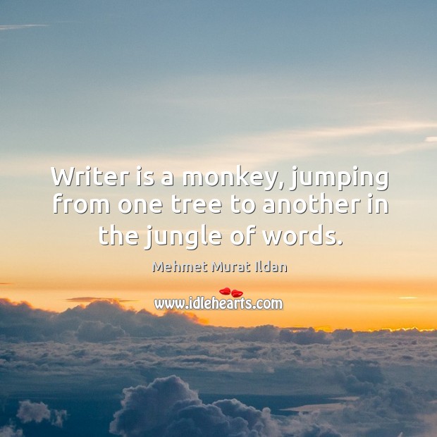 Writer is a monkey, jumping from one tree to another in the jungle of words. Image