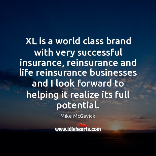 XL is a world class brand with very successful insurance, reinsurance and Mike McGavick Picture Quote