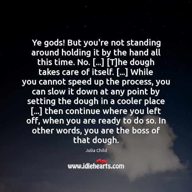 Ye Gods! But you’re not standing around holding it by the hand Julia Child Picture Quote