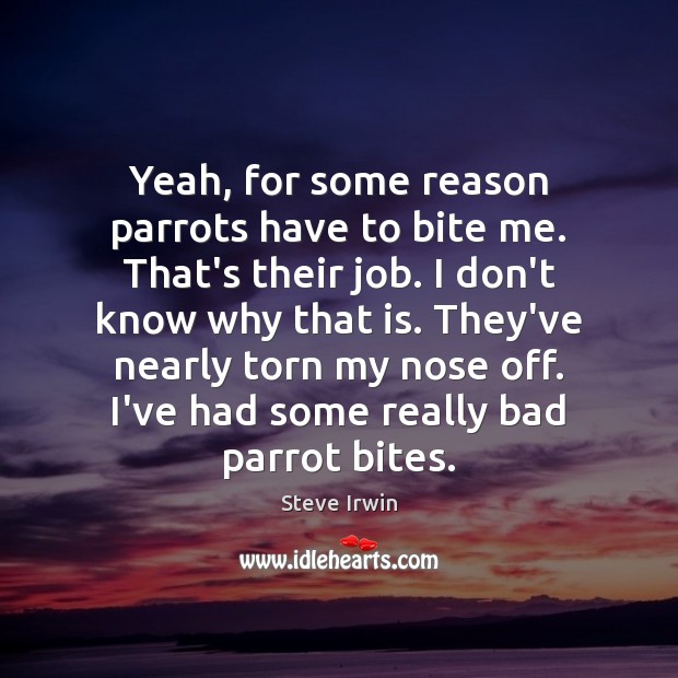 Yeah, for some reason parrots have to bite me. That’s their job. Steve Irwin Picture Quote
