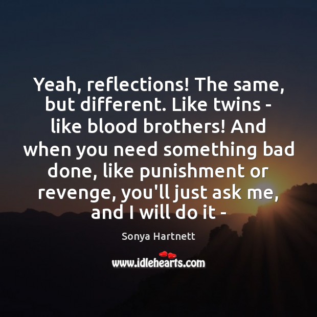 Yeah, reflections! The same, but different. Like twins – like blood brothers! Image
