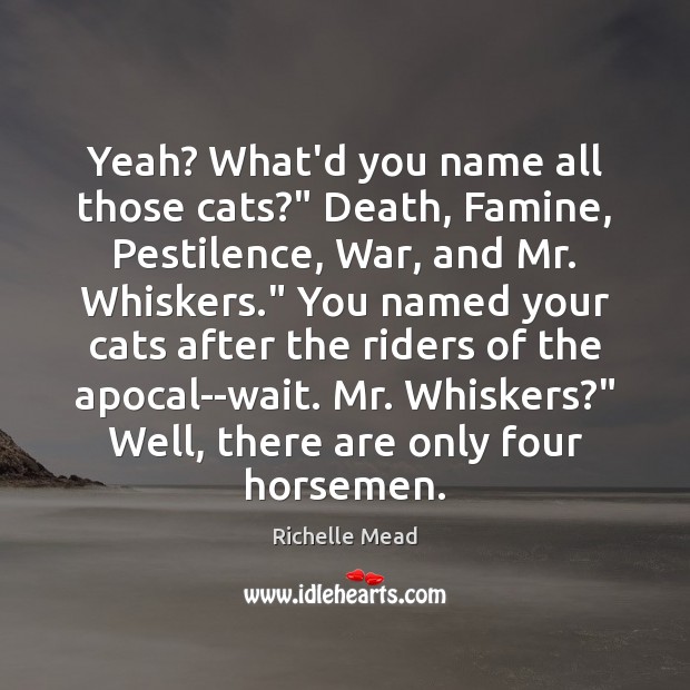 Yeah? What’d you name all those cats?” Death, Famine, Pestilence, War, and Image