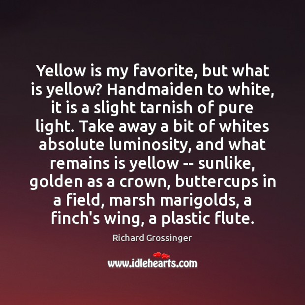 Yellow is my favorite, but what is yellow? Handmaiden to white, it Richard Grossinger Picture Quote