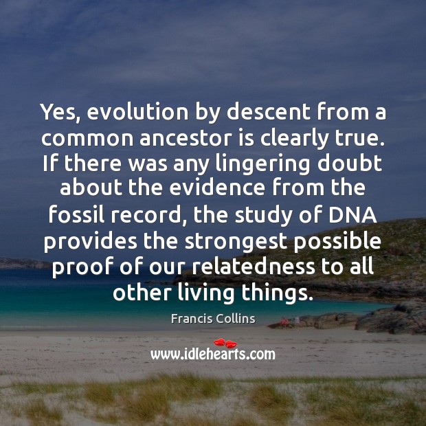 Yes, evolution by descent from a common ancestor is clearly true. If Francis Collins Picture Quote