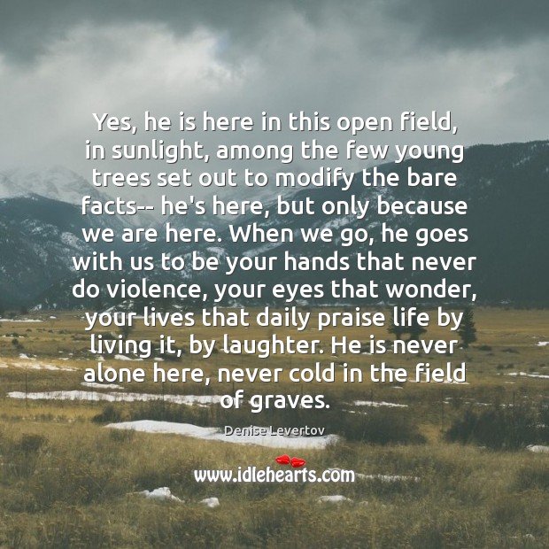 Yes, he is here in this open field, in sunlight, among the Denise Levertov Picture Quote