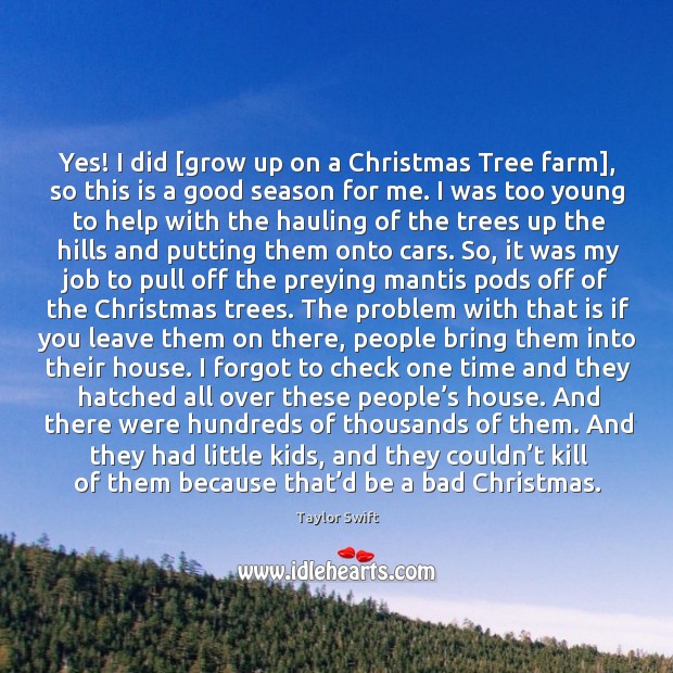 Yes! I did [grow up on a Christmas Tree farm], so this Taylor Swift Picture Quote