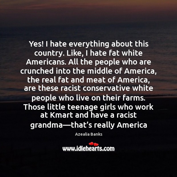 Yes! I hate everything about this country. Like, I hate fat white Azealia Banks Picture Quote