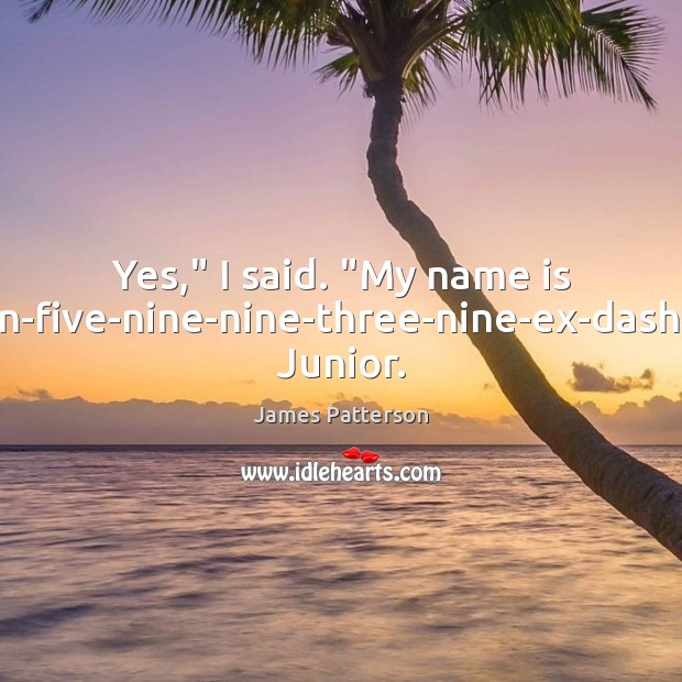 Yes,” I said. “My name is seven-five-nine-nine-three-nine-ex-dash-one. Junior. James Patterson Picture Quote