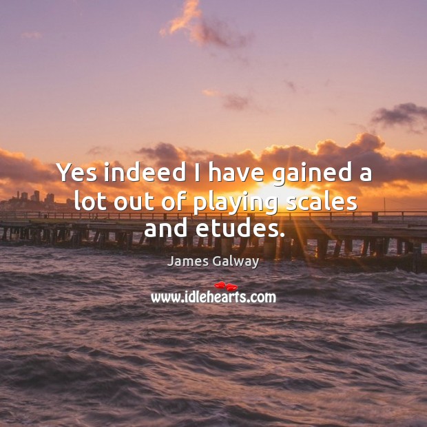 Yes indeed I have gained a lot out of playing scales and etudes. James Galway Picture Quote