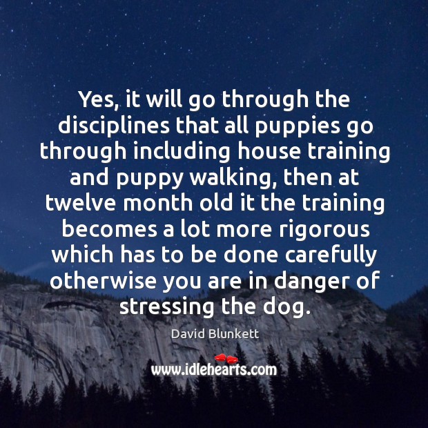 Yes, it will go through the disciplines that all puppies go through including house David Blunkett Picture Quote