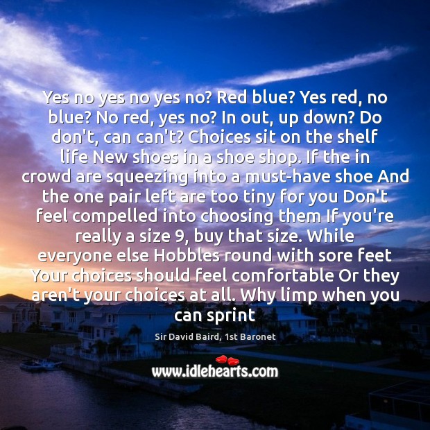 Yes no yes no yes no? Red blue? Yes red, no blue? Sir David Baird, 1st Baronet Picture Quote