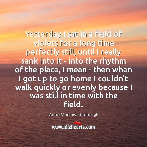 Yesterday I sat in a field of violets for a long time Anne Morrow Lindbergh Picture Quote