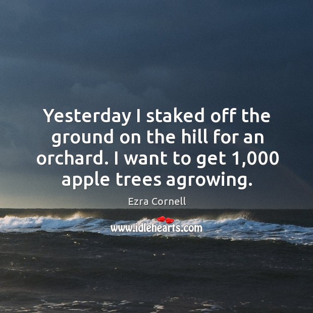 Yesterday I staked off the ground on the hill for an orchard. I want to get 1,000 apple trees agrowing. Ezra Cornell Picture Quote